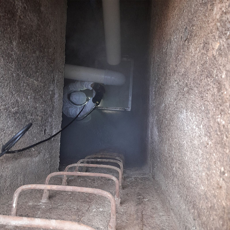 Limpieza de canastillos