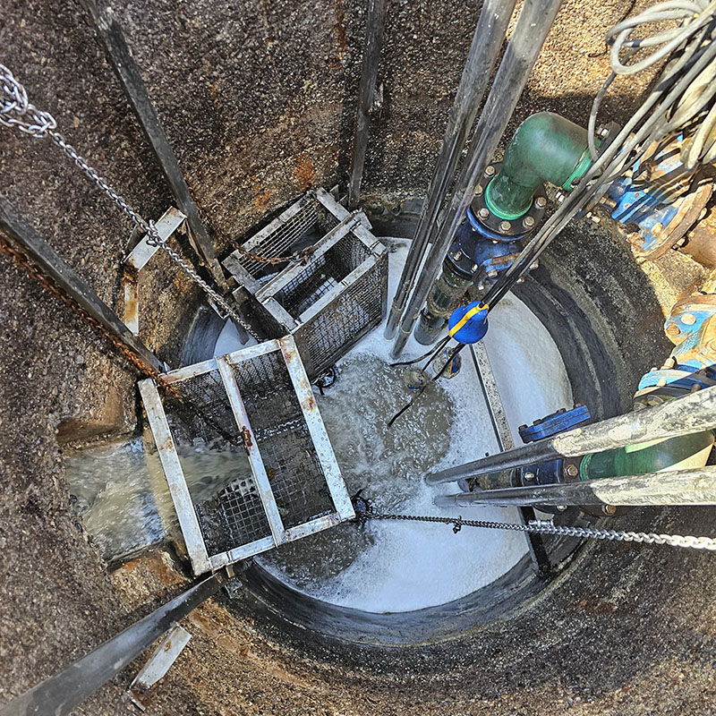 Limpieza y fabricacion de canastillos sanitarios